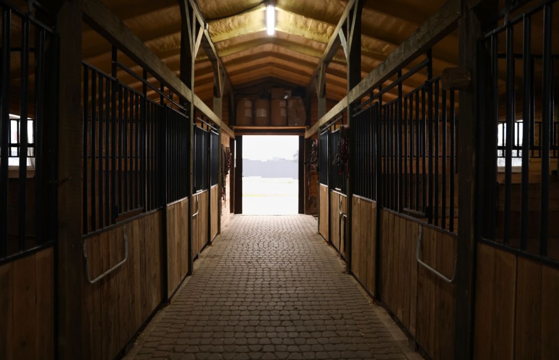 livestock barn stalls with stall heater